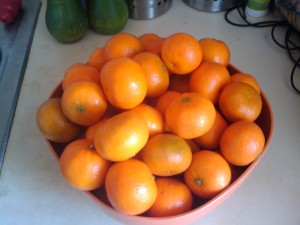 Bowl with 61 (5 lbs.) clementines